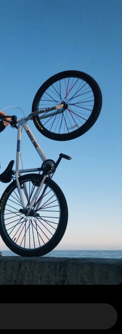 SE Big Flyer Bike