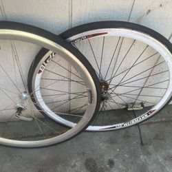 Fixie Bicycle Tires And Rims