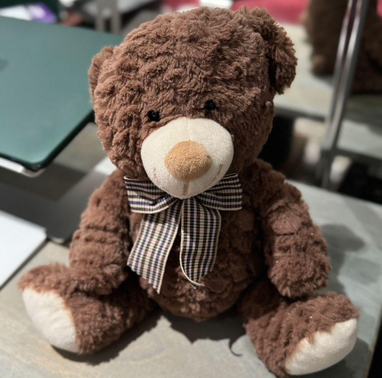 Charming Plush Teddy Bear