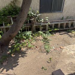 2 Ladders. 