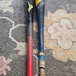 Baseball BATS 2x1