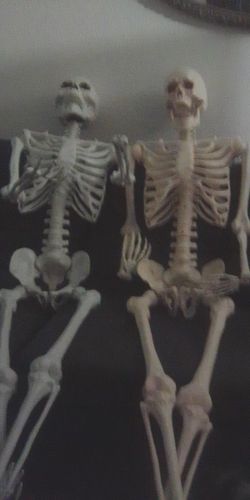 Full Body Plastic Skeleton Decorations – Set of 2