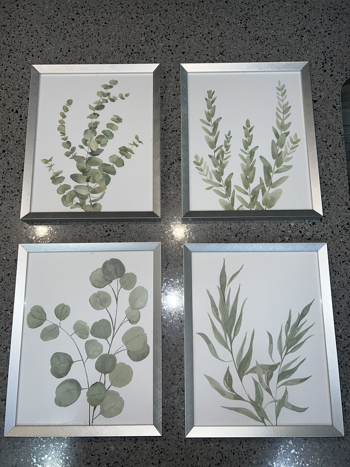 Plant wall art