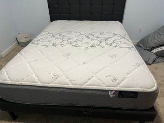 Free Comfortable Queen Matress