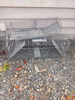 Live animal traps