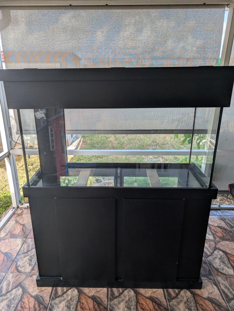 90g Saltwater Aquarium