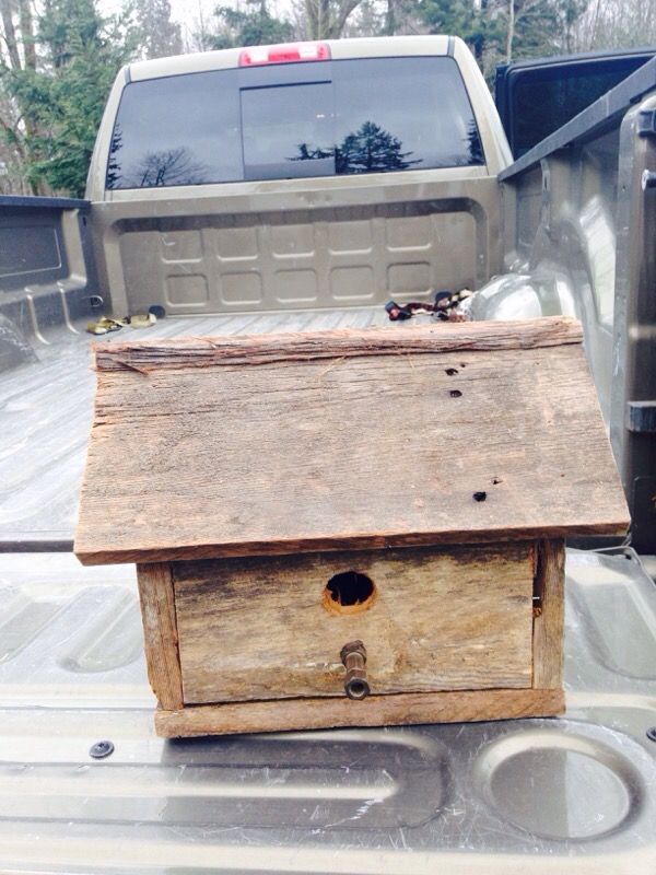 Bird house