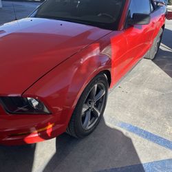 2005 Ford Mustang 