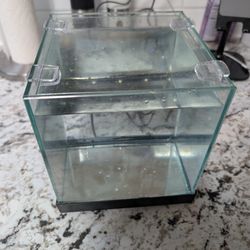 1 Gallon Beta fish tank 