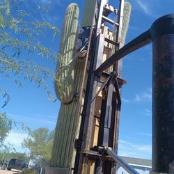Saguaros For Sell