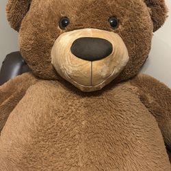 Teddy Bear