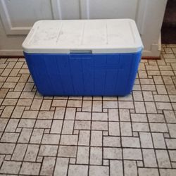 Coleman Blue And White Cooler