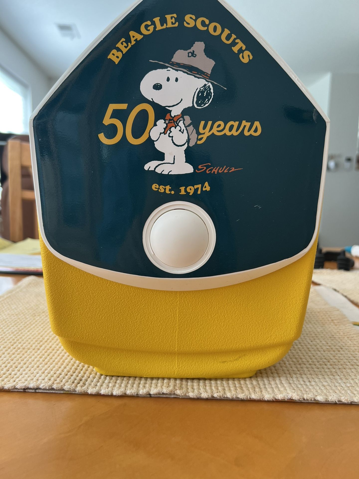 Snoopy Lunch Box