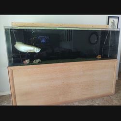 300 Gallon Acrylic Aquarium (Fish Not Included)