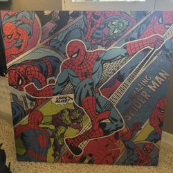 Spider-Man canvas 