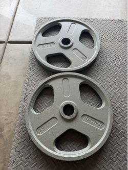 45lb cast iron plates (pair)