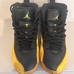 Jordan 12 University 