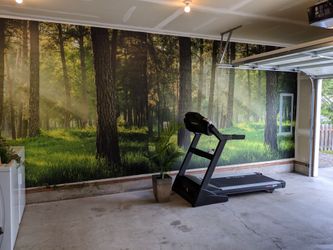Sole treadmill