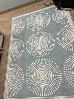 5 x 7 area rug