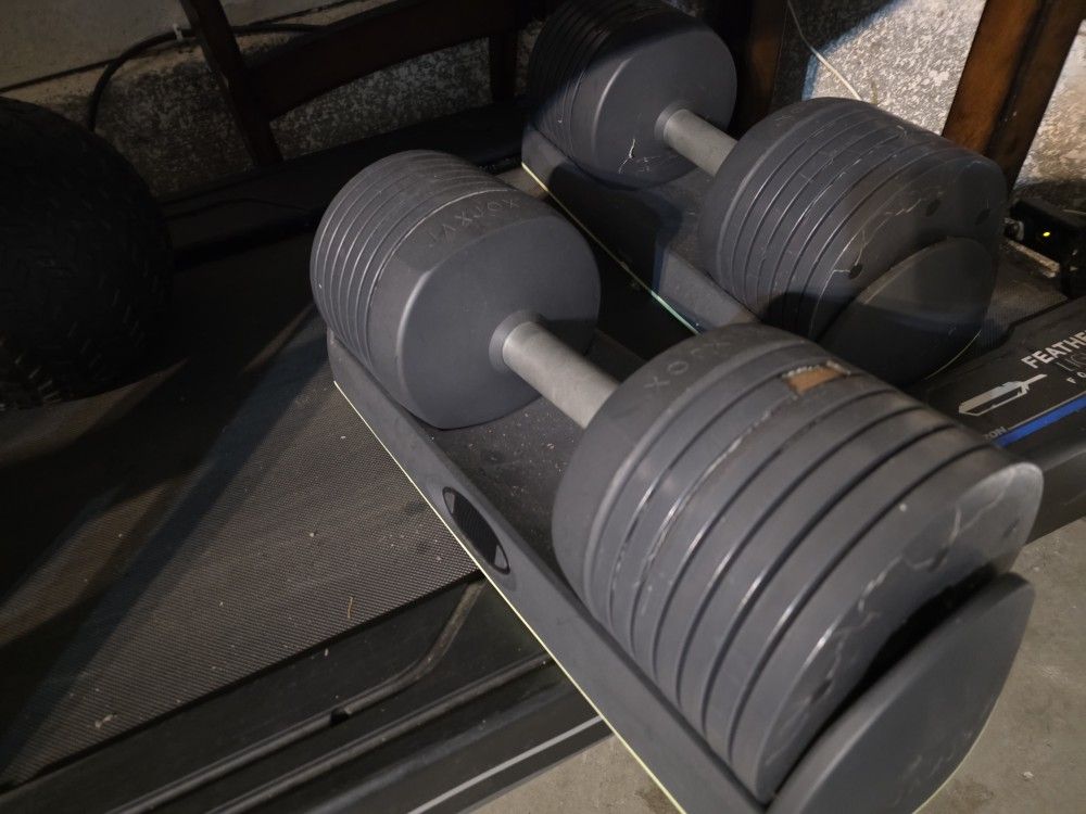 JaxJox DumbbellConnect (Adjustable Weights)