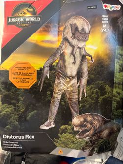 Costume