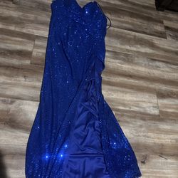 Royal Blue Ladavine gown 