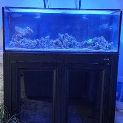 30 gallon salt water fish tank, no fish