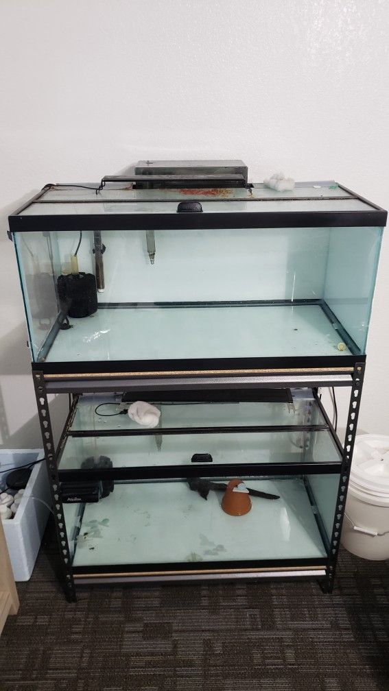40 Gallon Breeder Fish Tanks