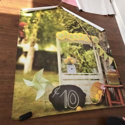 Photography Backdrops