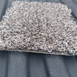 CARPET