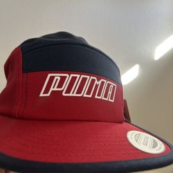 Puma 5 Panel