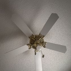 Ceiling fan