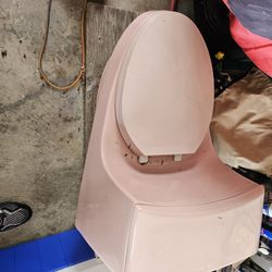 Pink Toilet