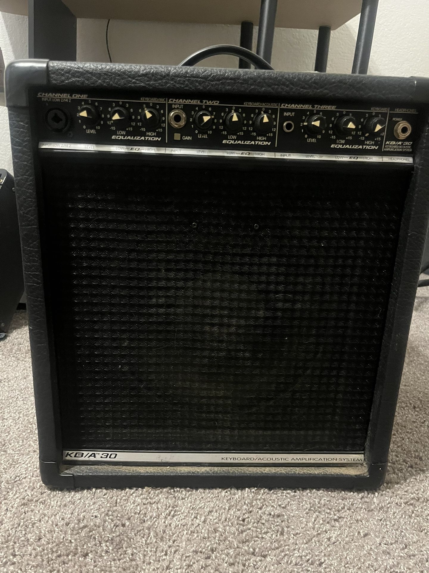 Acoustic/keyboard Amplifier