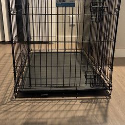 Dog Kennel 