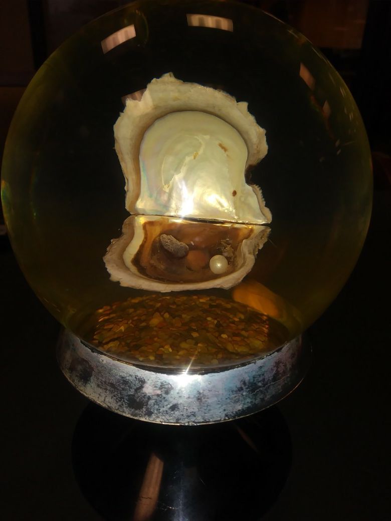 VINTAGE NATURE GEMS EDUCATIONAL EMBEDMENTS PEARL OYSTER PAPER WEIGHT (HARD TO FIND)