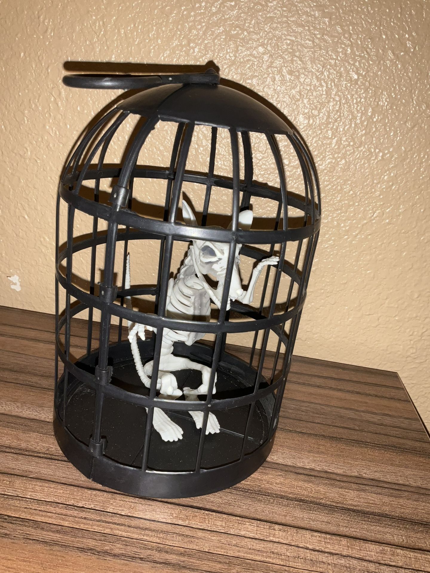 halloween decor hanging skeleton rat cage
