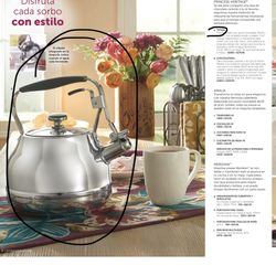 Tetera Nuevo De Princess House 