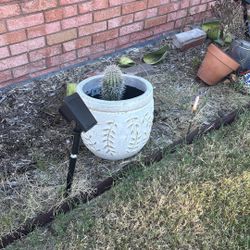 Cactus and ceramic pots with detail