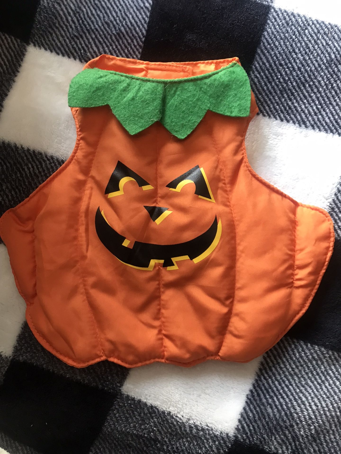 Pumpkin Dog Costume