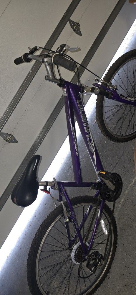 BIKE- Schwinn Side Winder $40