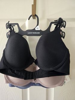 Lucky Brand 36C