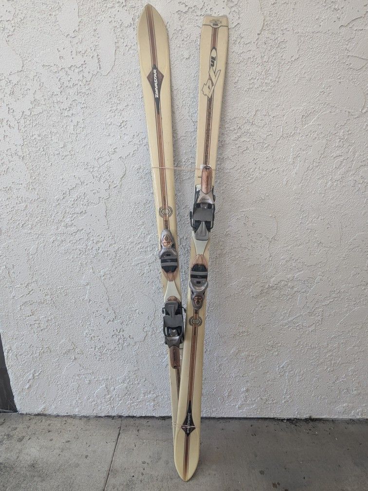 Dynaster Skis