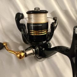 daiwa legalis lt 1000d