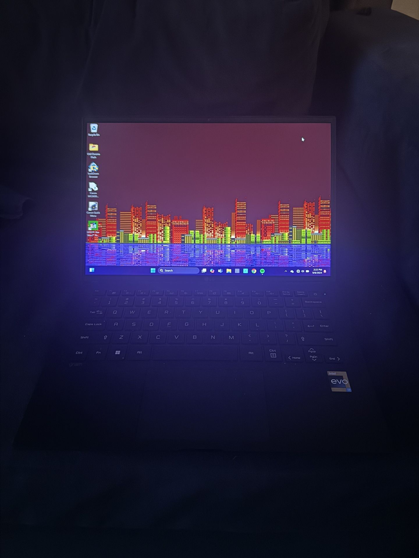 LG Gram Laptop, Intel Evo i7