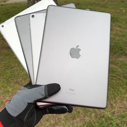 iPads 5 / 6 / 8 / Pro