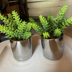 Fake Succulents Cb2