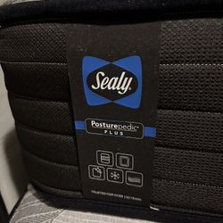 Seally Twin Mattress 