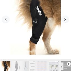 Dog Hinged Leg Brace For Cruciate 