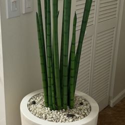 Pretty Artificial Plant  Snake Tree 5 FT Tall With Tall Planter
